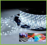 LED Rope 110Volts